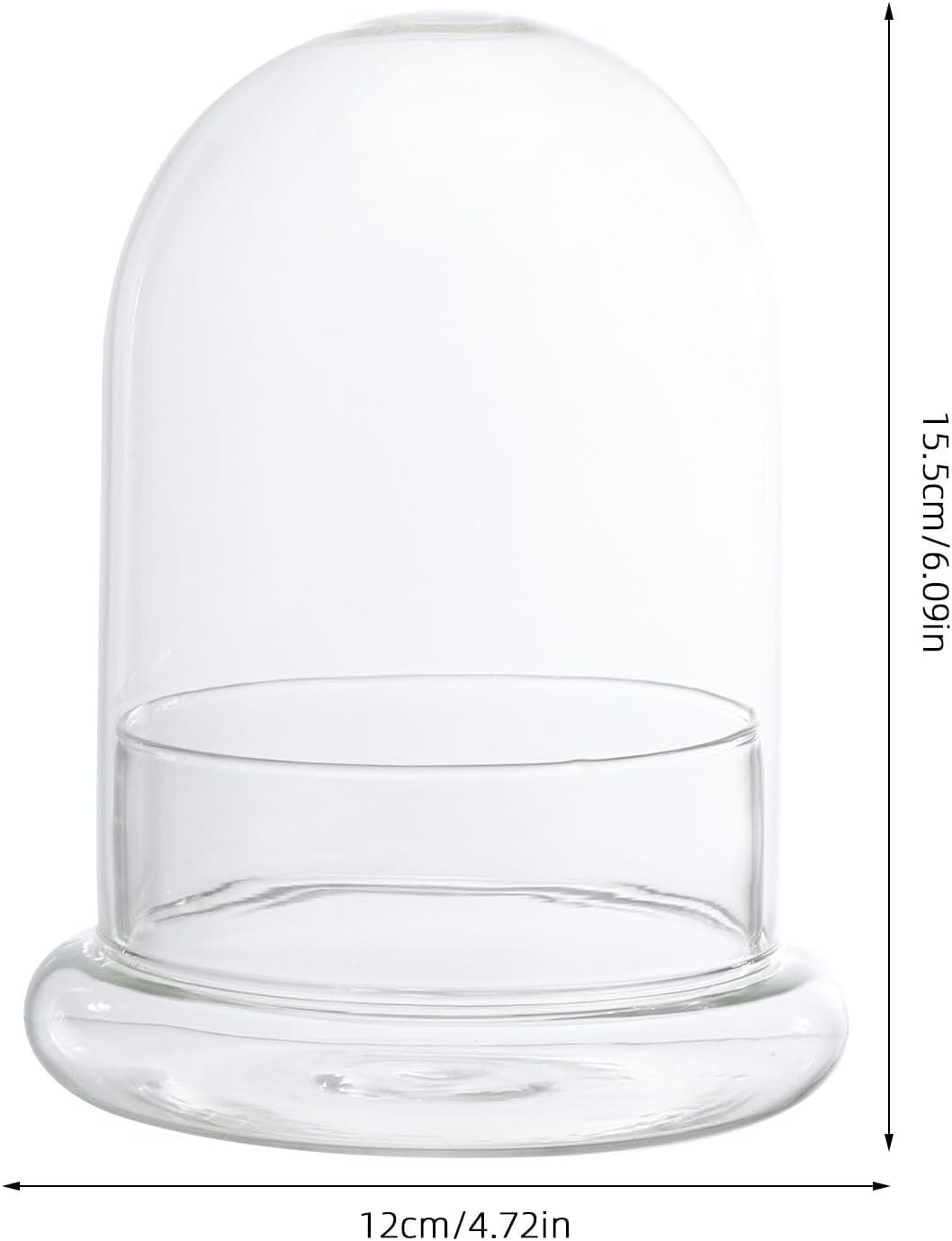 Ecological Bottle Moss Terrarium Glass Jar 6.7 Inch Clear Glass Dome for DIY Micro Landscape Home Succulent Plant Display