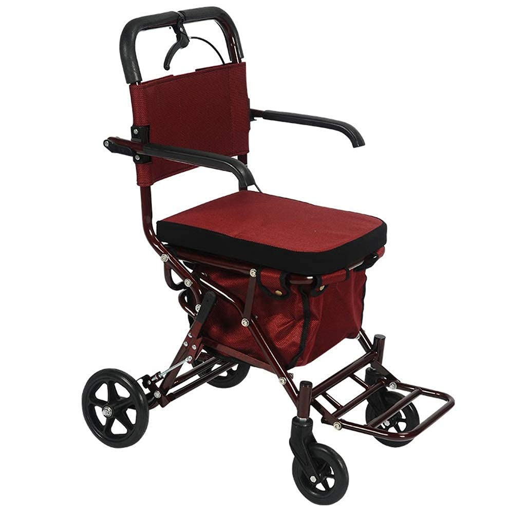 Buy Selfpropelled Walkers, Rollators/walking frames Walker rollator