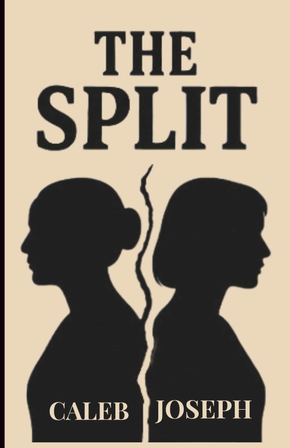 The Split: A Story of Family, Conflict, and Survival