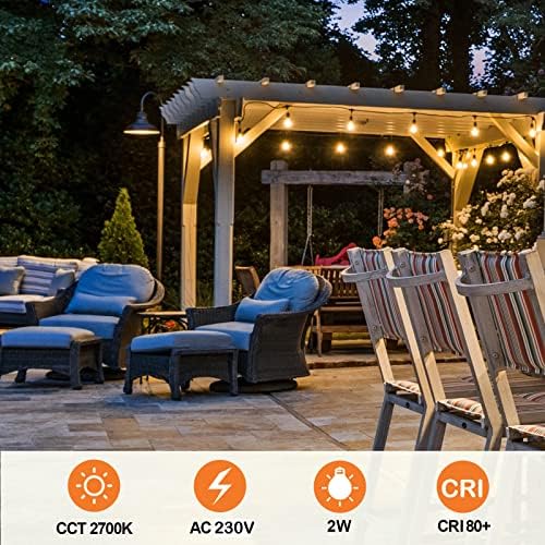 Spacelumen E27 Screw Bulb, S14 Vintage Edison LED Light Bulb, 2W 2700K Warm White Outdoor Light Bulbs Replacement, Pack of 6