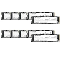 Patriot Memory – Patriot P300 256GB interne SSD - NVMe PCIe Gen 3x4 - M.2 228
