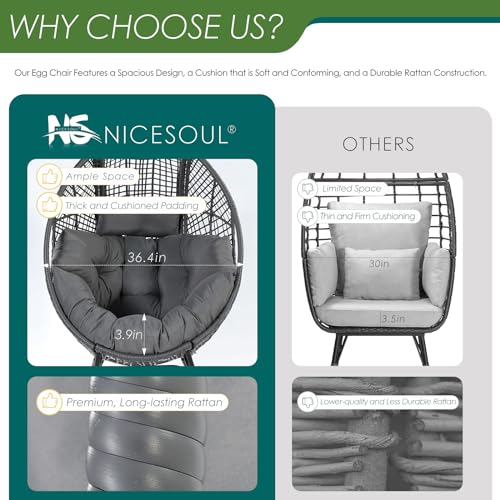 NICESOUL 2-Person Wicker Egg Chair