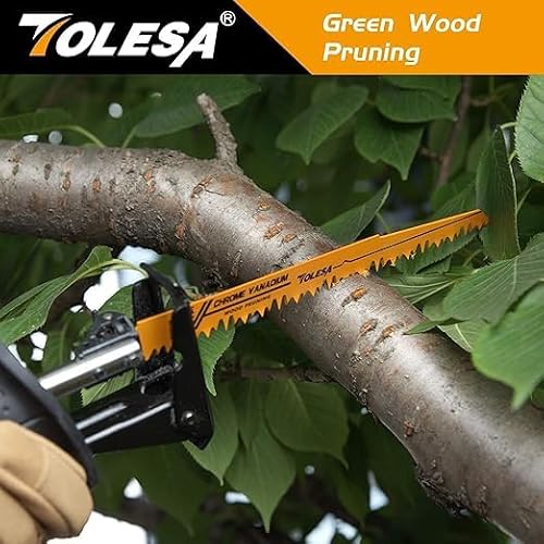 TOLESA 10 Pack Reciprocating Saw Blade Set, Premium 6 to 9 Inch Wood & Metal Cutting Pruner Saw Blades with Storage Box