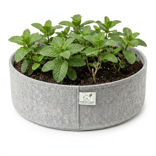 Image of 400 GSM Geo Fabric Round Grow Bags 18x6 Inch, Grey Planting Bags for Terrace and Kitchen Gardening Pack of 1