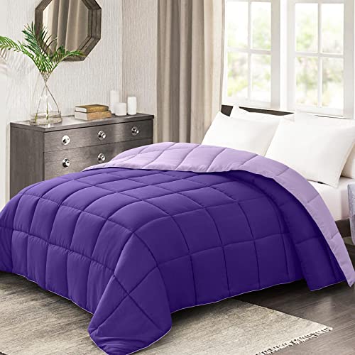 Image of Homelike Moment Oversized Queen Comforter - Purple Lightweight Down Alternative Bedding Comforters, All Season Duvet Insert Quilted Reversible Bed Comforter Soft Cozy Oversize Queen Plum /Light Purple