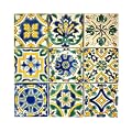Set of 9 Decorative Ceramic Tiles – Hand Painted Indoor & Outdoor – Spanish Artisan Top Kitchen – Mediterranean Decorative Tilles 3.94x3.94 / One Tile – Durable Colorful – 140 g Each (Mediterranean)