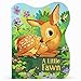 A Little Fawn: A Baby Deer Board Book