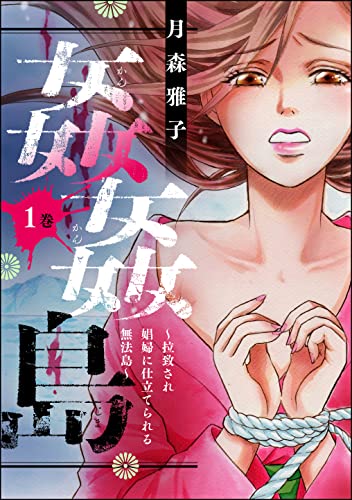 姦姦島 ~拉致され娼婦に仕立てられる無法島~ (1) (ストーリーな女たち)