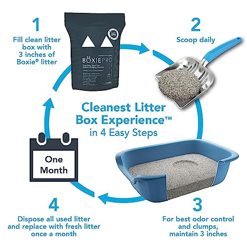 Boxiecat Premium Clumping Clay Cat Litter, Scent Free, 40Lbs - Longer Lasting Odor Control - Hard, Non Stick Clumps - Stays Ultra Clean - 99.9% Dust Free #TOP6