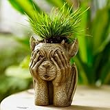 Hear No Evil Speak No Evil Statues Planter, Gargoyle Statues Outdoor Decor Face Planters Pots Head Succulent Pot, Funny Gargoyle Head Planter for Garden Yard Patio Decoration, Halloween Planter (A)