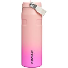 Stanley 1913 Ice Flow Flip Straw 2.0 Vacuum Insulated Bottle Sorbet Gradient 24 oz / 0.71 L