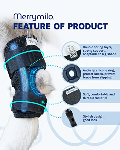 Image of Dog Leg Brace, 1 Pair Rear Hock & Ankle, Canine Hind Leg Joint Compression Wrap for Torn ACL & CCL, Injury and Sprain Protection, Wound Care and Loss of Stability, Size: M(2 Pack)