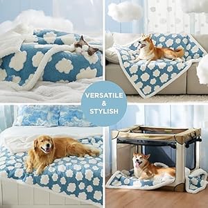 Lesure-Waterproof-Dog-Blanket-for-Large-Dogs-Washable-Double-Sided-Dog-Blankets-with-Warm-Jacquard-Shag-and-Soft-Sherpa-Fleece-Pet-Cat-blanket-for-Bed-Protection-3D-Textured-Cloud-Blue - Cucciolini Doodles   Lesure-Waterproof-Dog-Blanket-for-Large-Dogs-Washable-Double-Sided-Dog-Blankets-with-Warm-Jacquard-Shag-and-Soft-Sherpa-Fleece-Pet-Cat-blanket-for-Bed-Protection-3D-Textured-Cloud-Blue
