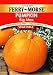 Ferry-Morse Seeds 1347 Pumpkin - Big Max 4.8 Gram Packet