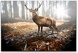 bestforhome 120x80cm Leinwandbild Hirsch im Wald in der Sonne Leinwand auf Holzrahmen