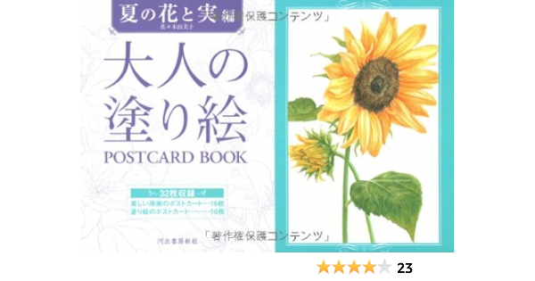 大人の塗り絵 Postcard Book 夏の花と実編 佐々木由美子 本 通販 Amazon 大人の塗り絵 Postcard Book 夏の花と実編 佐々木由美子 本 通販 Amazon
