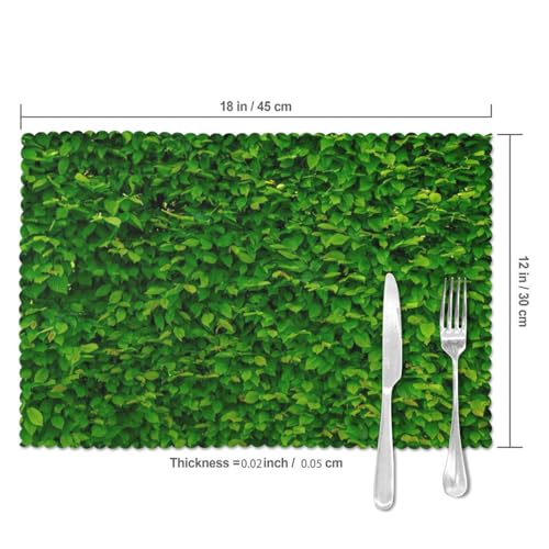Sets de table polyester lavables 30,5x45,7cm imprimé feuilles vertes x6 - 6