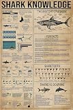 Shark Knowledge Metal Tin Sign The Anatomy Of A Shark Funny Poster Aquarium School Living Room Kitchen Bathroom Home Art Wall Decoration