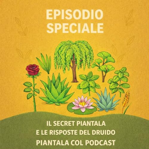 EP SPECIALE - IL SECRET PIANTA E LE RISPOSTE DEL DRUIDO