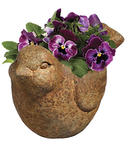 Classic Home and Garden Cement Buddies Indoor Outdoor Bird Planter, Rust, Large, 9" - Image 2