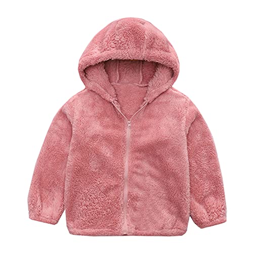 Kids Boys Girls Wool Hoodie Winter Cute Long Sleeves Bear Ears Zip Up Jacket Hooded Jacket Boys Fleece