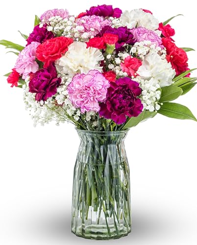 Benchmark Bouquets Carnation Flower Mix – Mothers Day Flowers for