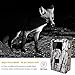 OUDMON Trail Game Camera, 1080P Hunting Cam for Wildlife with Night Vision Motion Activated and No Glow IR LEDs, Waterproof IP67