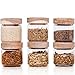 Econovo® Gewürzgläser Set mit Deckel (6-teilig) aus mundgeblasenem Borosilikatglas, Gewürzdosen Vorratsglas luftdicht, Vorratsdosen Glas-Behälter Set für Gewürze und Lebensmittel klein 150ml
