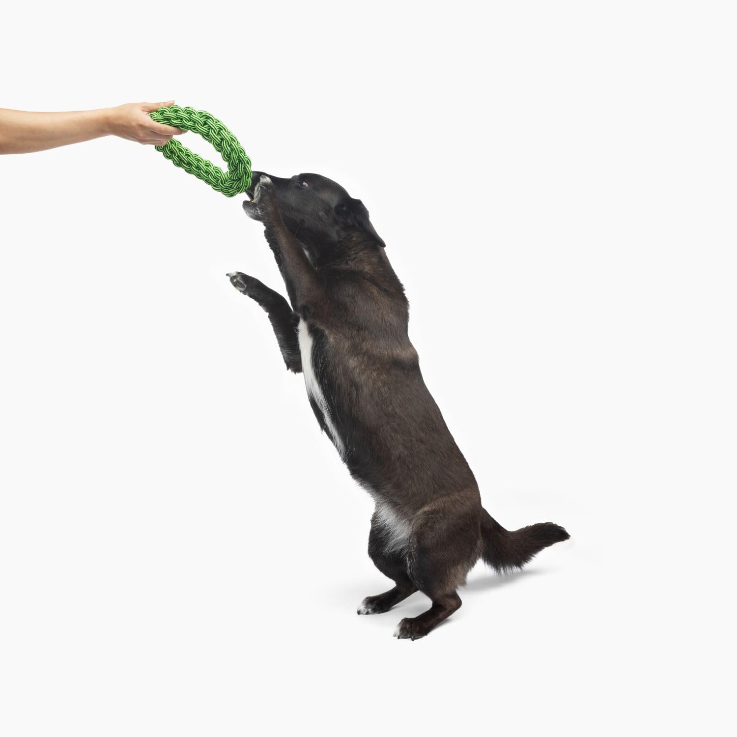 Jolly Pets TIK-Tak-Tugzz Large/XL O Rope Dog Toy