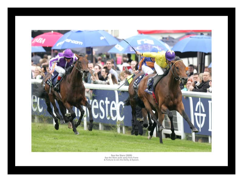 Sea the Stars 2009 Epsom Derby Horse Racing Framed 60x40cm Photo Memorabilia