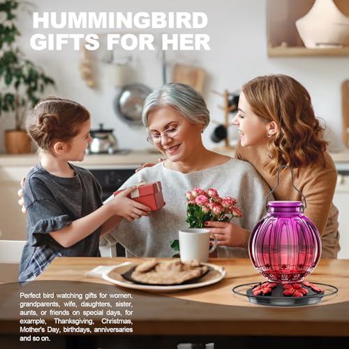 Alimentador de vidro para beija-flor para pendurar ao ar livre, alimentador de néctar de pássaros de