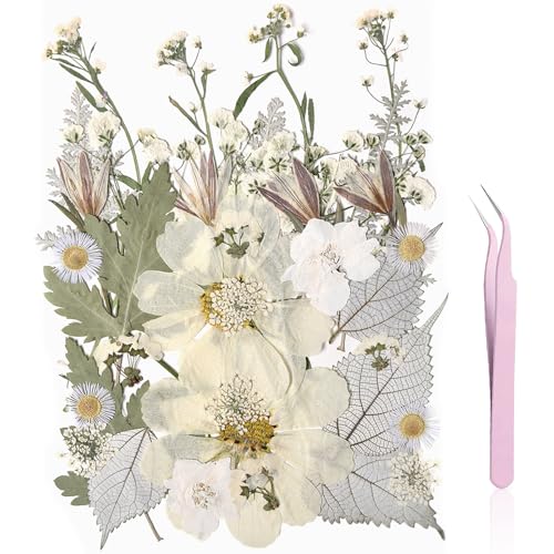yuboo 36Pcs White Dried Flowers for Resin