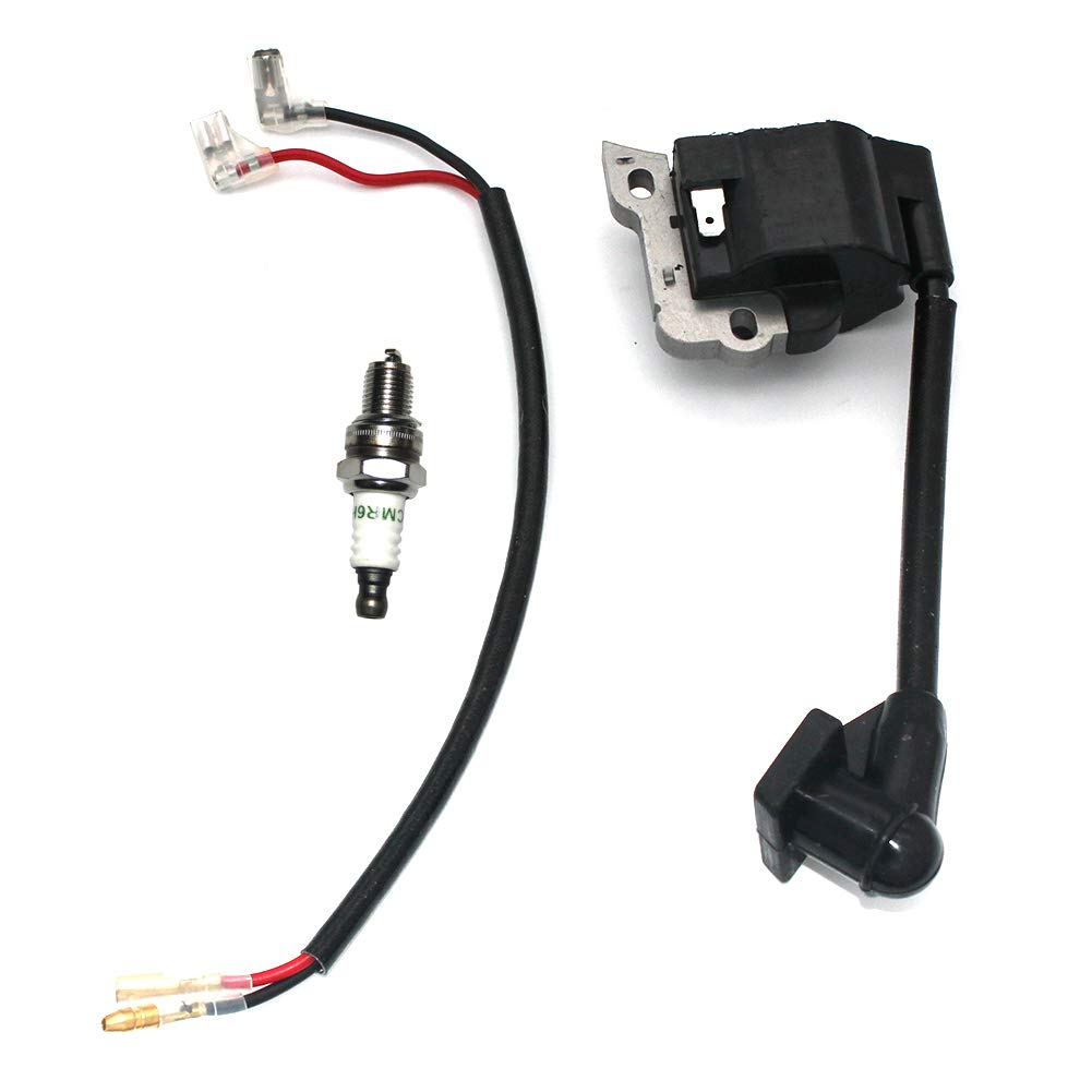 Amazon.com: Coil Assy Ignition With Spark Plug CMR6H For