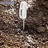 ECOWITT WN34 Sensor de Temperatura del Suelo, probador Digital Impermeable del Suelo con la exhibición del LCD, Sensor de la Punta de Prueba de la Temperatura de 11.8 Pulgadas para el jardín, Granja #3