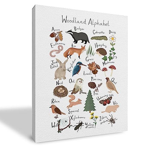 Image of Qvapt Forest Nursery Decor,Forest Animals Alphabet Framed Canvas Prints Wall Art,Nursery Wall Art Decor For Homeschool Kids Room Playroom(11x14inch)