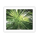 ARTTOR Affiche Decoration Murale Moderne Poster sans Cadre 50x40cm Bambou Jungle Vert Deco Affiches Murales Wall Art Design Tableau Decoration Salon Chambre Cuisine Decor P2XAA50x40 4235
