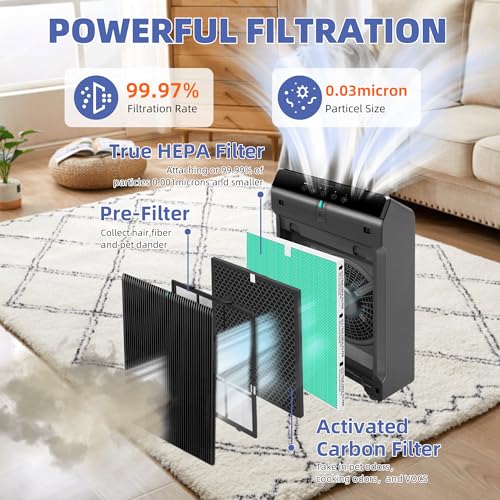 Image of 5510 5520 5530 HEPA Toxin Absorbe Air Purifier Filter Q Replacement for Winix 5510 5520 5530 Plasmawave Air Purifier H13 True HEPA Carbon Filter,# 1712-0123-00,2 Combon Set