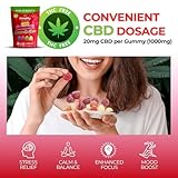 Hempthy CBD Gummies High Strength 1000mg CBD Edibles for Pain Relief & Better Sleep, THC-Free, High Strength CBD Gummy for Anxiety Relief for Adults (American Hard Gums) - Image 4