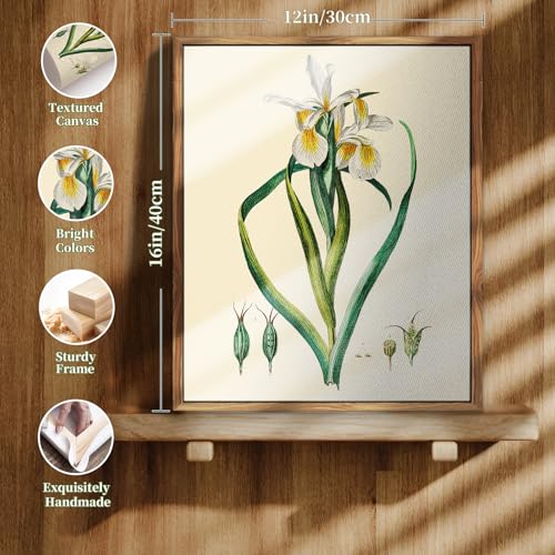 crmotu Vintage Floral Wall Art, White Iris Framed Art Prints, Minimalist Botanical Decor Pictures, Nature Plant Canvas Painting, Modern Farmhouse Wall Decor Living Room Bedroom Kitchen, 12x16 inch