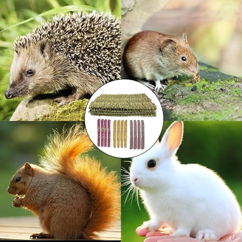KATLKIU 4PCS Natural Grass Mat for Rabbits, Edible Chew Toys Set with 12PCS Timothy Hay Sticks – Rose, Calendula, Forget-Me-Not Flavors – for Guinea Pigs, Chinchillas, Hamsters, Small Pets - Image 7