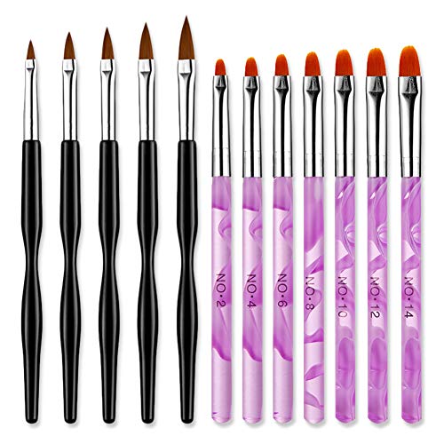 DANNEASY 12Pcs Acrylic Nail Brushes Set Drawing Flower Pen Builder UV Gel Nails Poly Extension Brush Dipping Powder Manicure Salon Tools