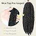 Marley Hair-18 Inch Marley Twist Hair For Twists 8 Packs Cuabn Marley Braiding Springy Afro Kinky Curly Crochet Hair For Faux Locs(18 Inch 8Packs, 1B#)