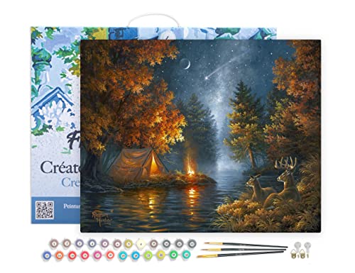 Figured'Art Peinture par Numéro Adulte avec Cadre Camping sous une nuit etoilée - Activité Manuelle Kit de Loisir Créatif DIY Numéro d'Art Complet - 40x50cm toile tendue sur châssis