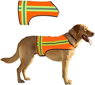 Reflective Dog Vest. Hi Visibility Blaze Orange Hunting Safety Vest Adjustable, Lightweight for Outdoor use