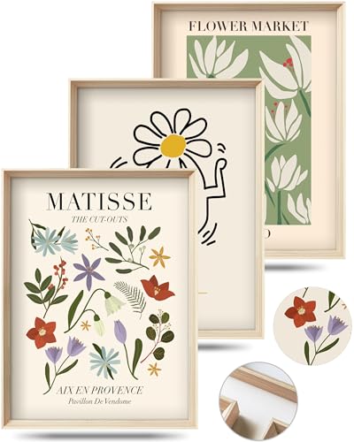 HesenDot Framed Matisse Canvas Wall Art for Bedroom,Abstract Matisse Canvas Wall Decor,Minimalist Classic Decor Aesthetic,12x16IN Wood High Framed Design Posters for Living Room,Bathroom Set of 3