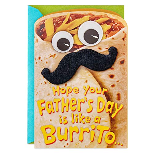 Hallmark Shoebox Funny Father's Day Cards (499FFW9855)