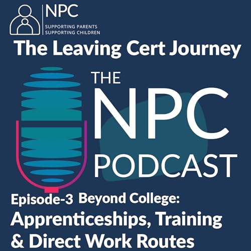 Beyond College &ndash; Apprenticeships, Training & Direct Work Routes