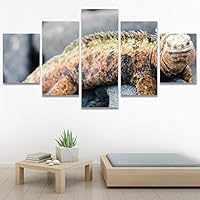 SIGNWIN 5 Panel Canvas Wall Art Modern Art Chic Expressive Frog Multicolor Photography Reptiles Snakes for Home Decorations Ready to Hang - 60