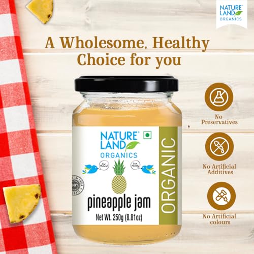 Image of Natureland Organics Pineapple Jam 250gm - Healthy Organic Jams (Pack of 3)