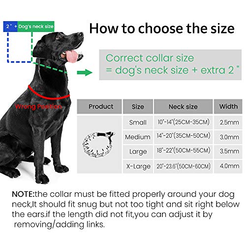 Best Dog Pinch Collars Buying Guide Gistgear